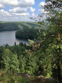 Scenic view of forest by lake against sky