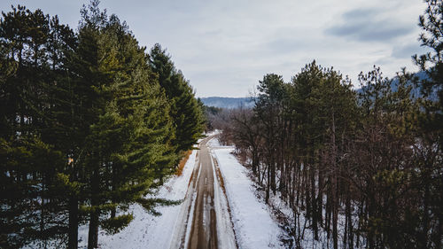 A vibrant green covers the land with the empty road in the valley.