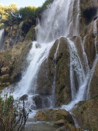 Scenic view of waterfall in forest