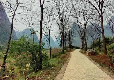 Dirt road amidst trees against sky