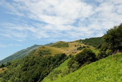 Scenic view of green landscape against sky