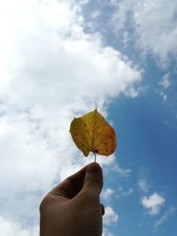 Low angle view of person holding leaf against sky