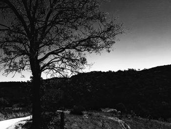 Low angle view of silhouette trees against clear sky