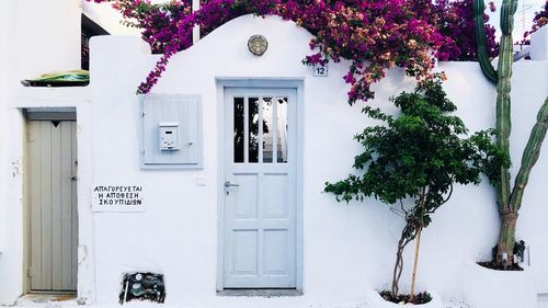 Closed door of building