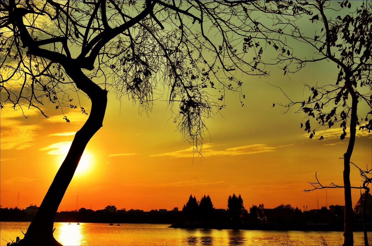 sunset, silhouette, water, tree, scenics, tranquility, beauty in nature, tranquil scene, sky, branch, orange color, nature, bare tree, sun, idyllic, lake, reflection, river, waterfront, tree trunk