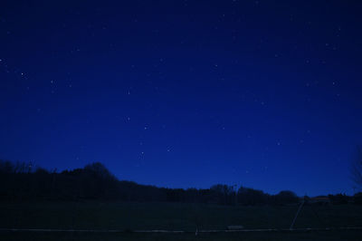 Low angle view of star field against sky at night