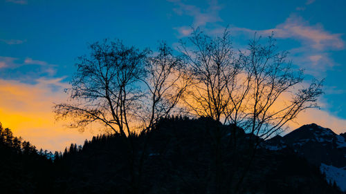 Low angle view of silhouette trees against sky