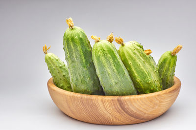 Close-up of green plant against white background