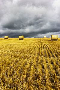 Scenic view of oilseed rape field against cloudy sky