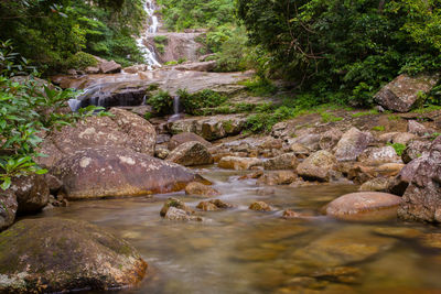 Stream flowing through rocks in forest