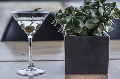 Close-up of drink and potted plant on table