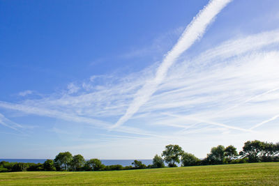 Scenic view of field against blue sky