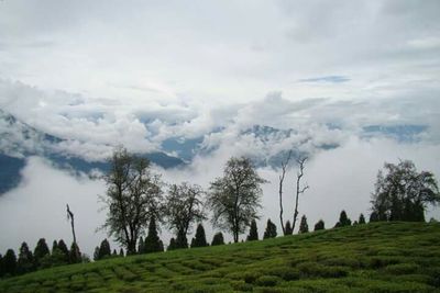 Scenic view of grassy field against cloudy sky