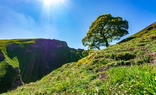 Scenic view of tree mountain against sky