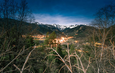 Scenic view of forest against sky at night