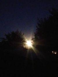 Low angle view of silhouette trees against sky at night