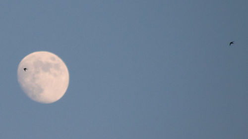 Low angle view of moon against clear blue sky