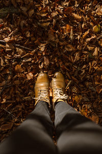 Low section of person standing on dry leaves