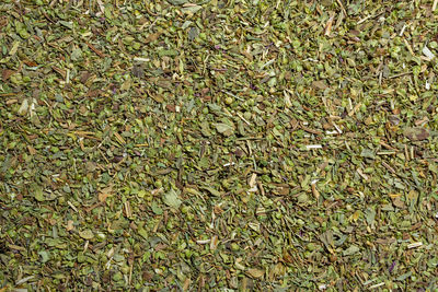 grass