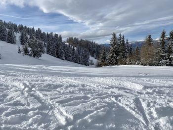 Snow covered land and trees against sky