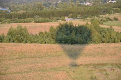 Scenic view of field