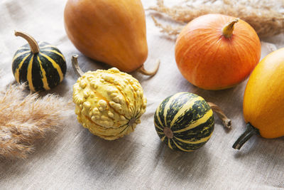 A rustic autumn still life with pumpkins on textile background