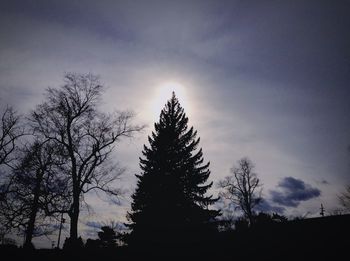 Low angle view of silhouette trees against sky