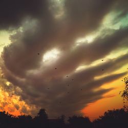 Low angle view of silhouette birds flying against dramatic sky