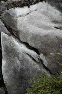 Full frame shot of rock