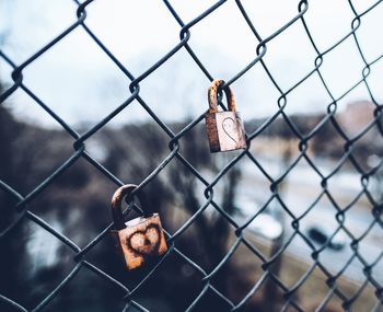 Close-up of padlocks on chainlink fence