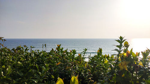 Scenic view of sea against clear sky