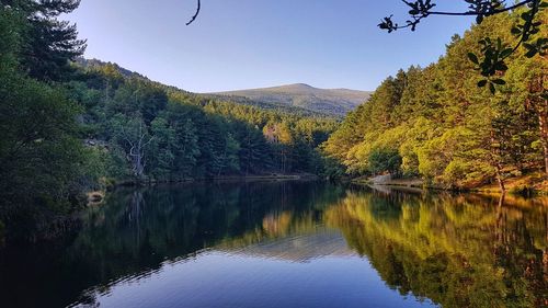 Scenic view of lake by trees against sky