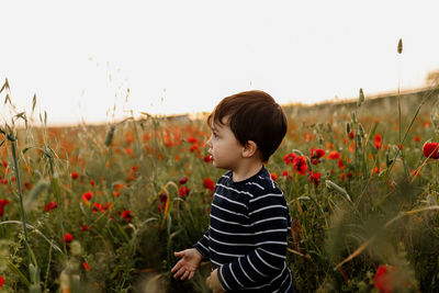 Boy standing on flowering field