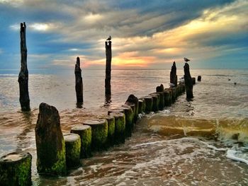 View of pier on sea