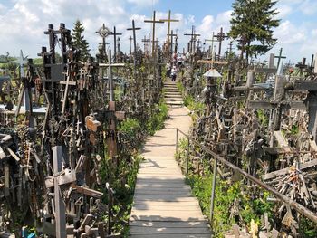 Footpath amidst plants against sky