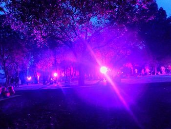 Illuminated trees against sky at night