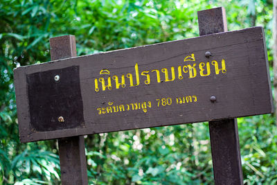 Close-up of information sign against trees