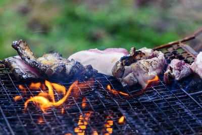 Close-up of meat on barbecue grill