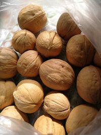 Close-up of pumpkins