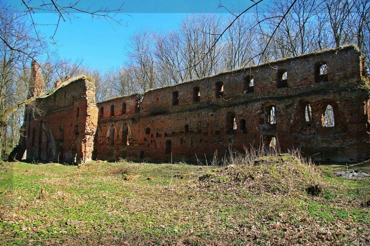 architecture, built structure, building exterior, abandoned, old, damaged, grass, bare tree, obsolete, tree, house, clear sky, weathered, run-down, deterioration, sky, low angle view, day, residential structure, window