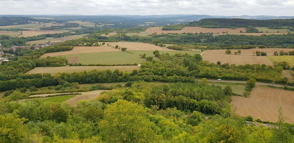 High angle view of agricultural landscape