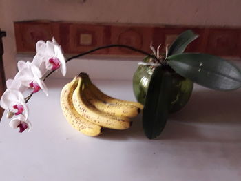 Close-up of fruits on table