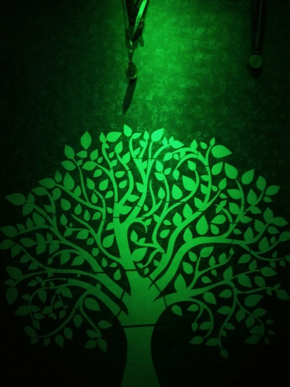 CLOSE-UP OF GREEN LEAVES AT NIGHT