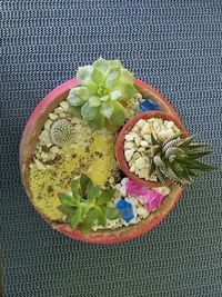 High angle view of potted plant on table