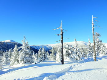 Snow covered land and trees against blue sky