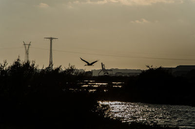 View of river at sunset