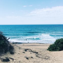 Scenic view of beach against sky