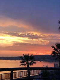 Silhouette trees by swimming pool against sea during sunset