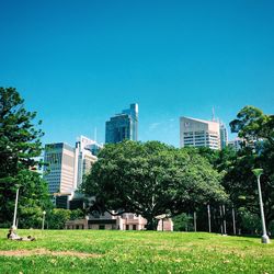 Trees in front of building against clear sky