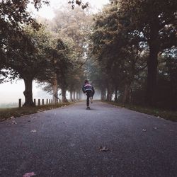 Rear view of man walking on road amidst trees